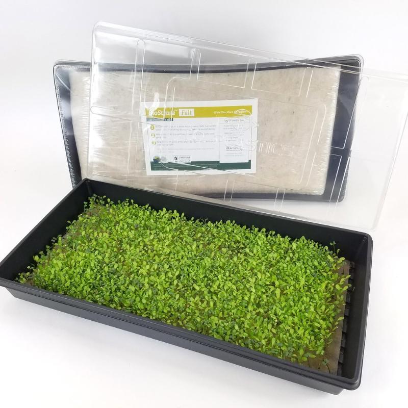Biostrate Biostrate Felt Retail Kit-185gsm-Carton